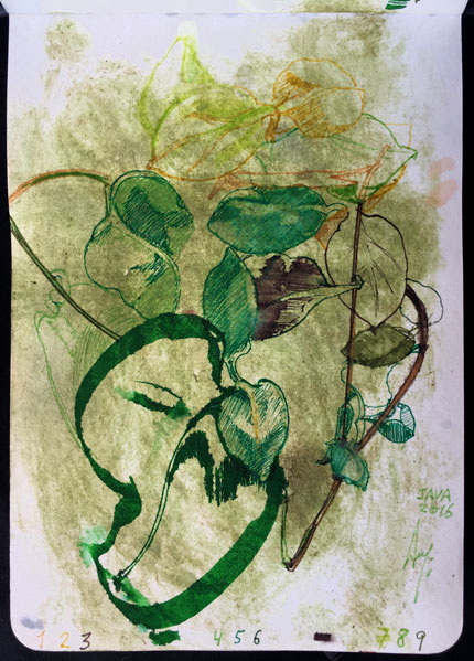 134。ink, binahong leaves, wax, watercolor/paper 14 x 10,5 cm - 5.51 x 4.13 in